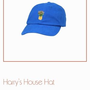 Harry Styles House Hat 🧢 Blue OS